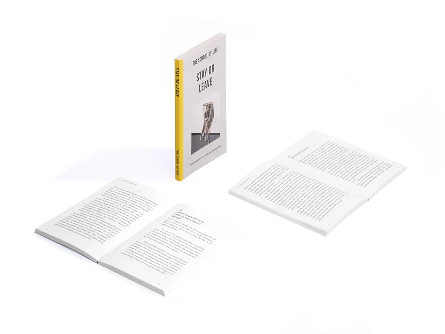 stay-or-leave-book