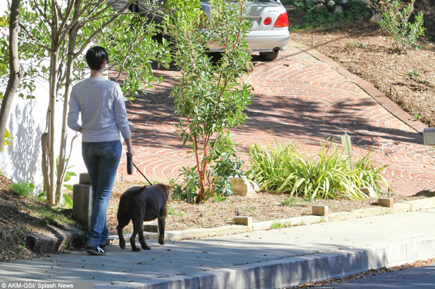 **WARNING: GRAPHIC CONTENT** Anne Hathaway and Esmeralda leave a Christmas treat on a paparazzo's car