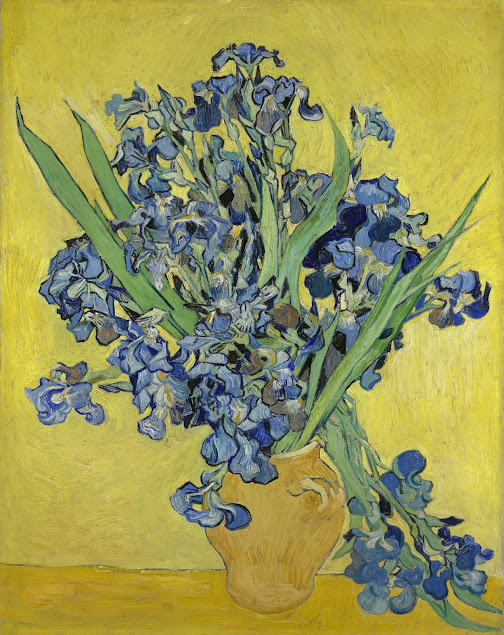 Image result for van gogh irises