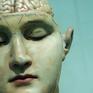 What is Cognitive Behavioural Therapy?