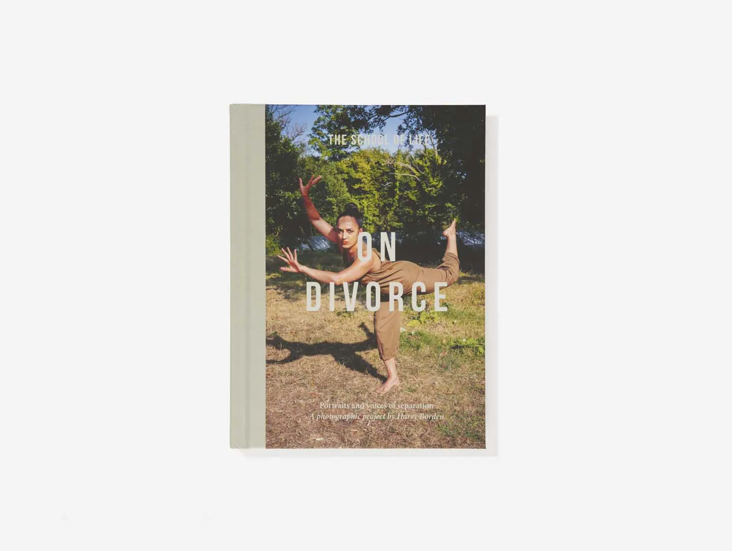 on divorce book the school of life