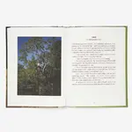 on divorce book the school of life