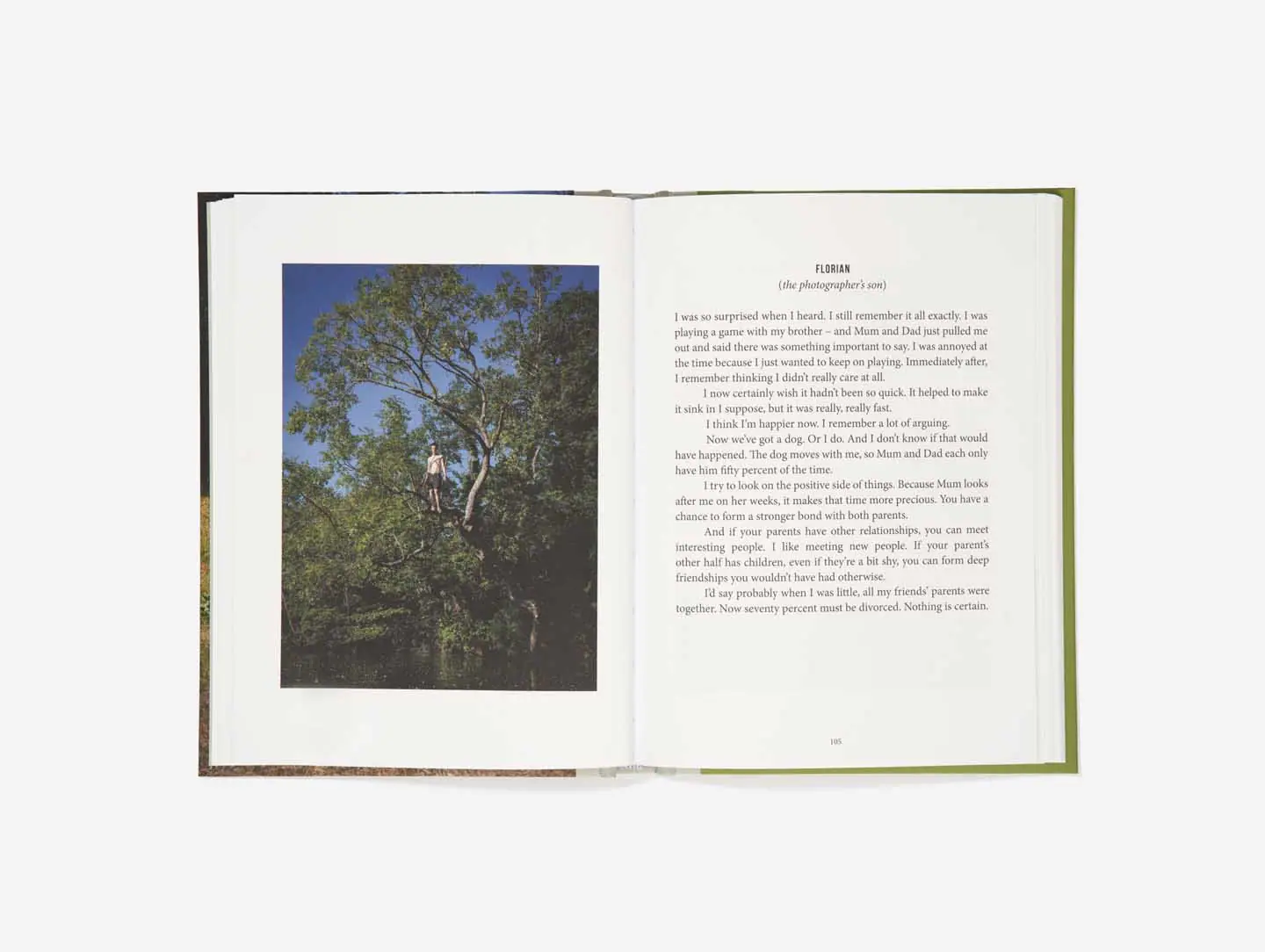 on divorce book the school of life