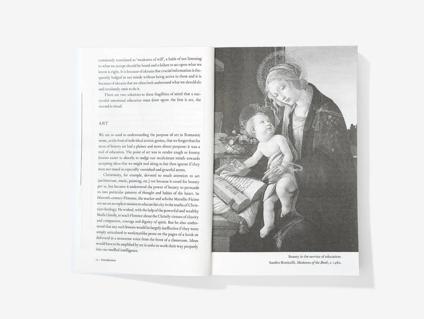 An Emotional Education Paperback Book