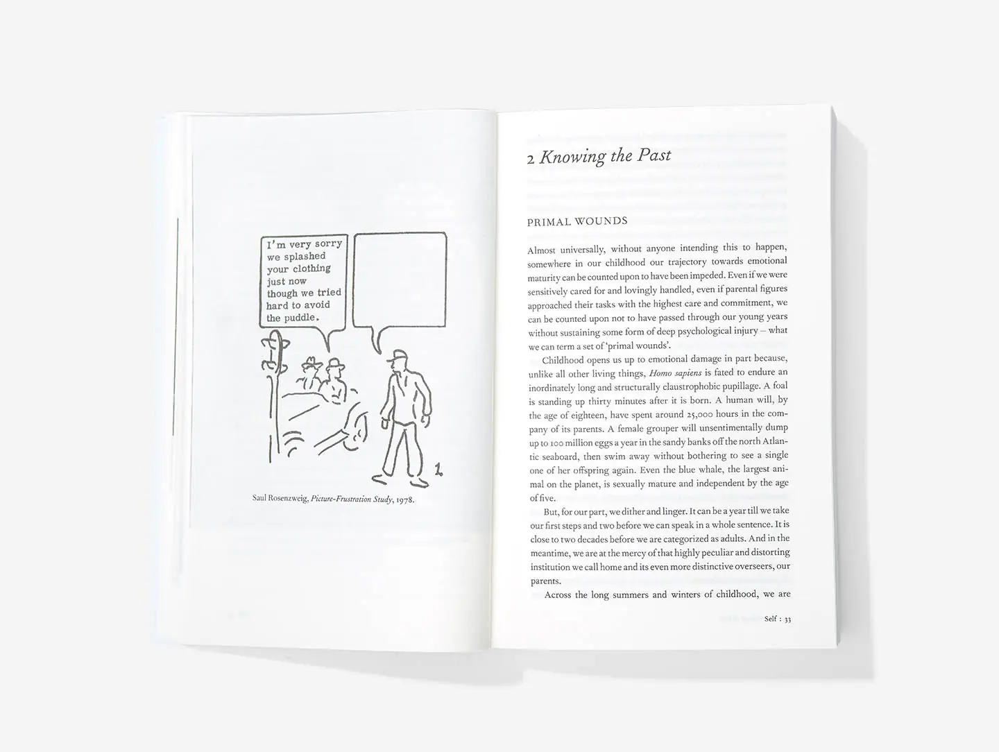 An Emotional Education Paperback Book
