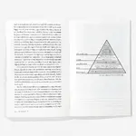 An Emotional Education Paperback Book