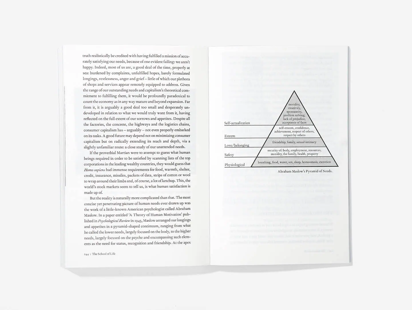 An Emotional Education Paperback Book