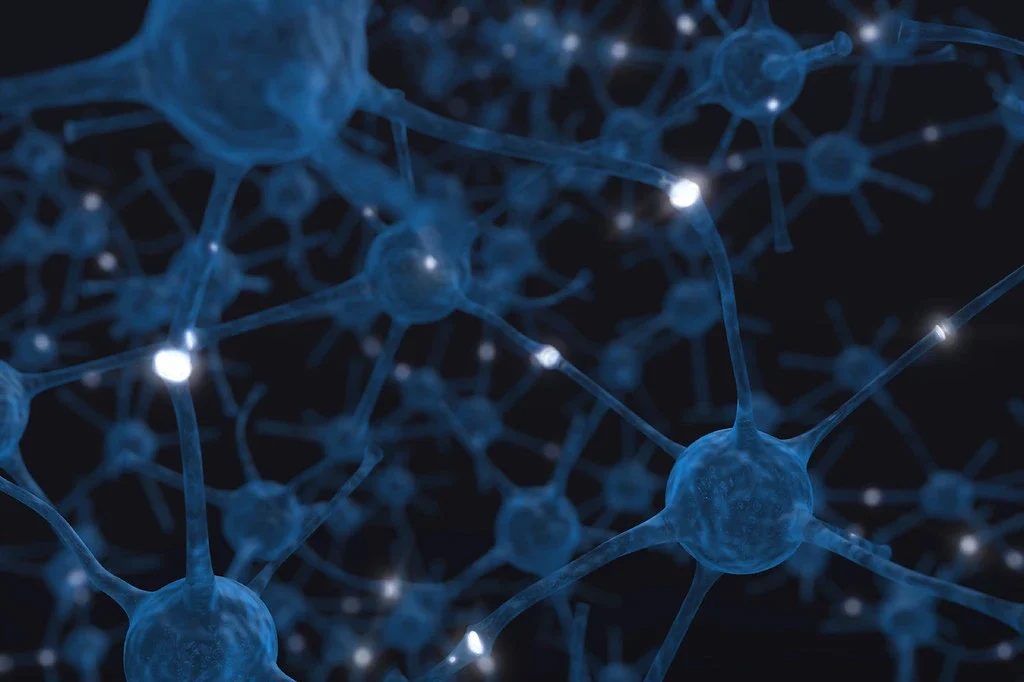 Magnified photograph/representation of neurons in the brain.
