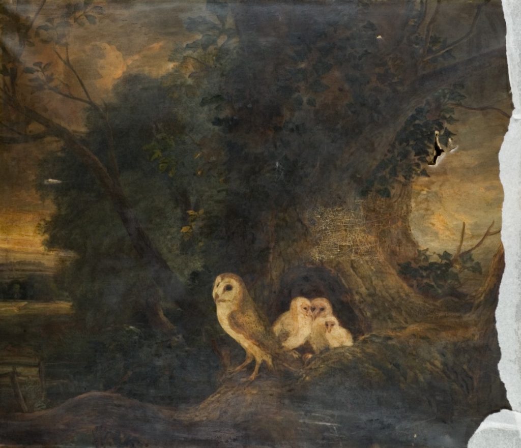 Evening landscape with owls