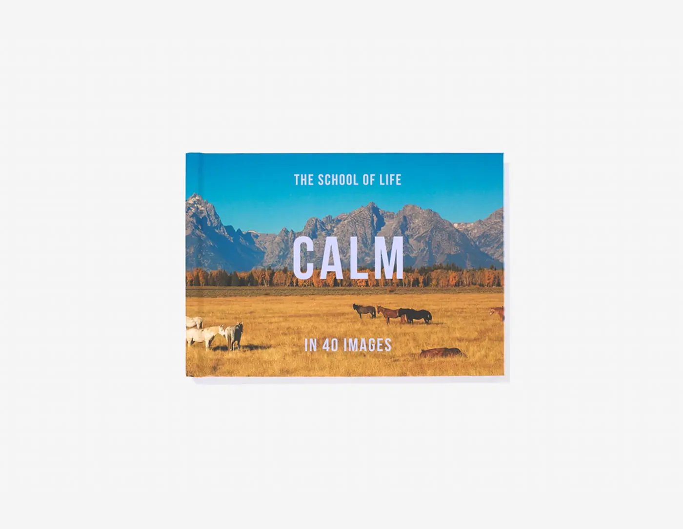Calm in 40 Images Book