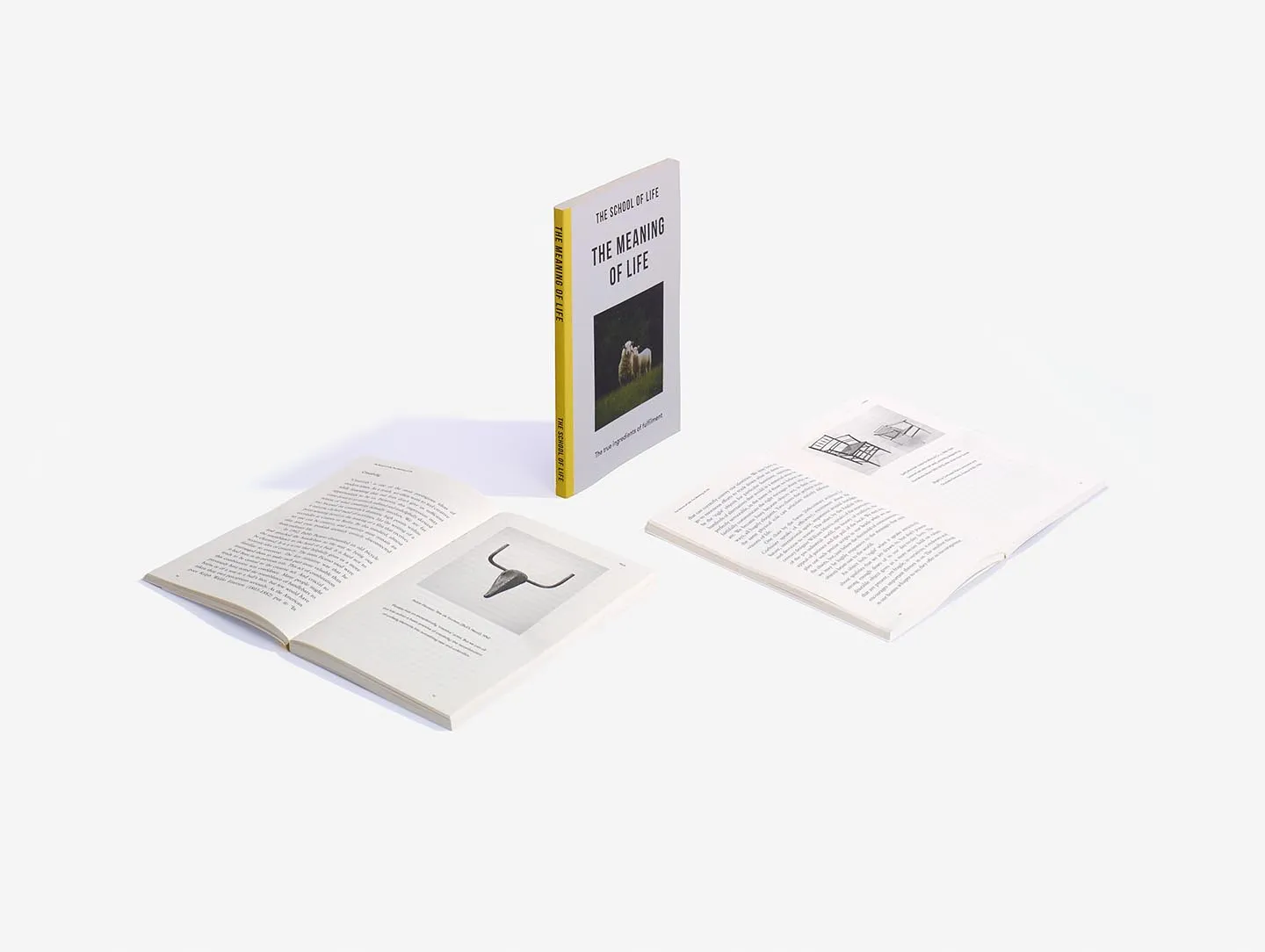 The Meaning of Life book
