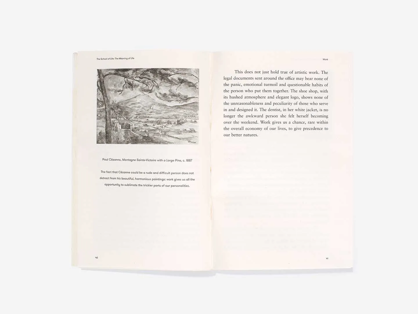 The Meaning of Life book