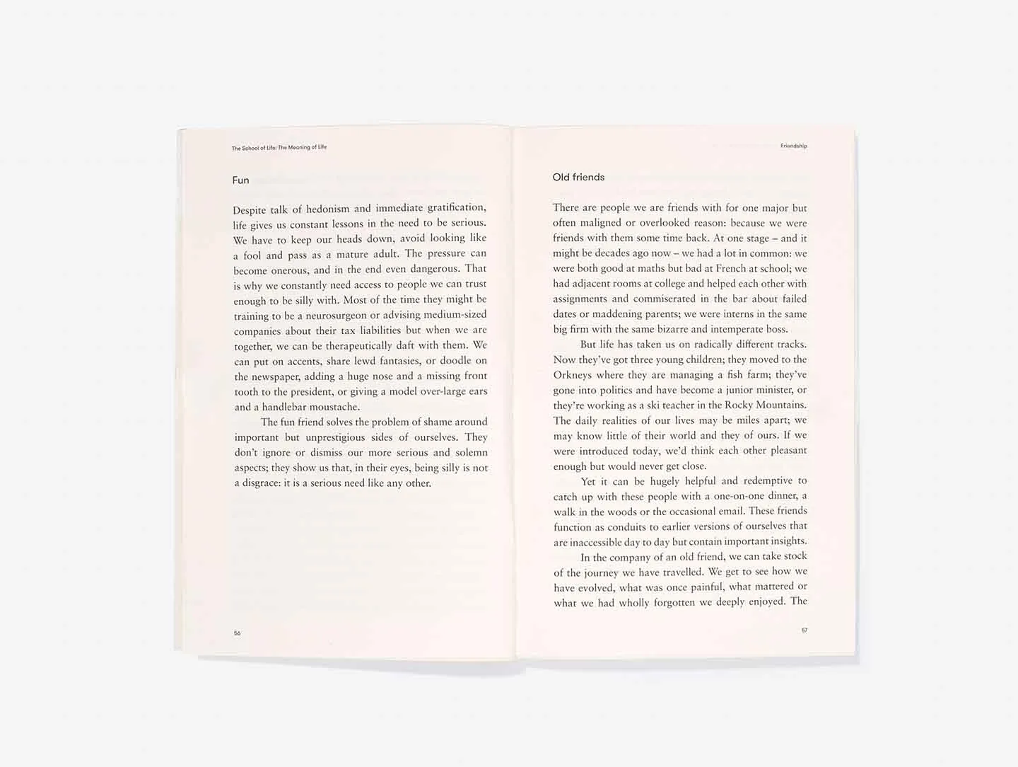 The Meaning of Life book