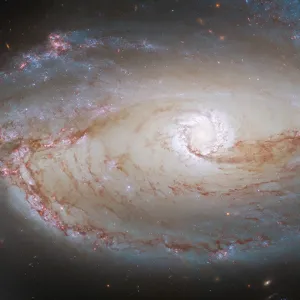 The Universe Has a Plan for You