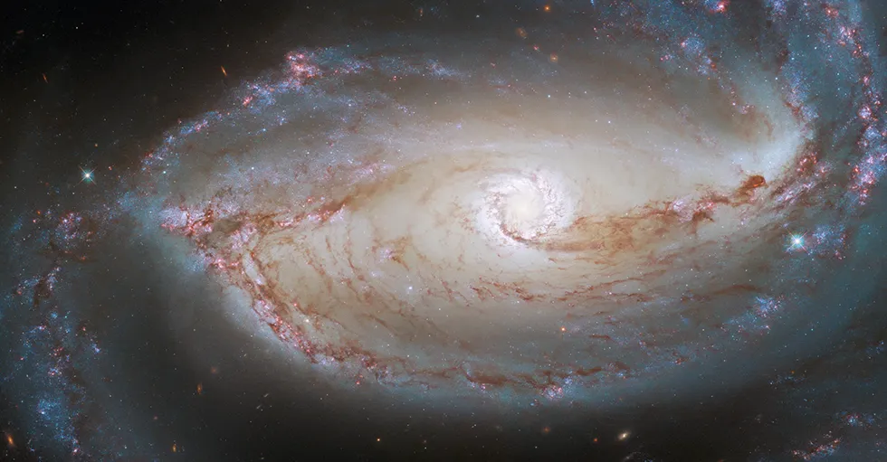 The Universe Has a Plan for You