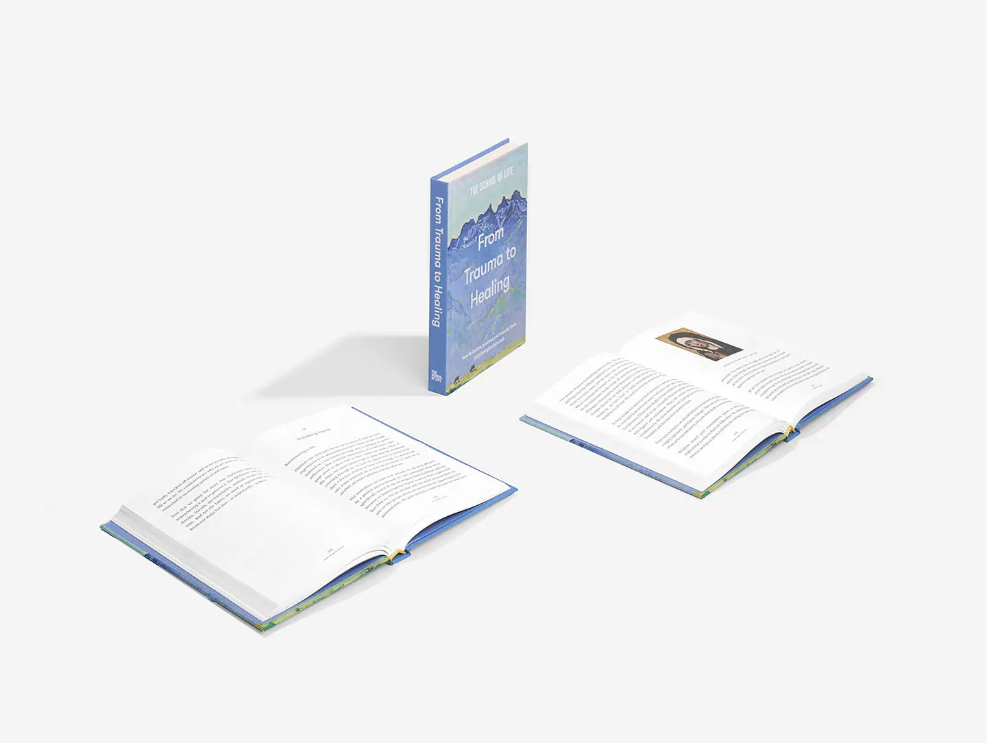 From Trauma to Healing Book