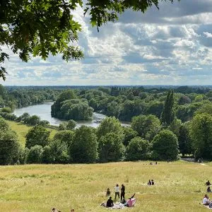 The Therapeutic Benefits of a Walk