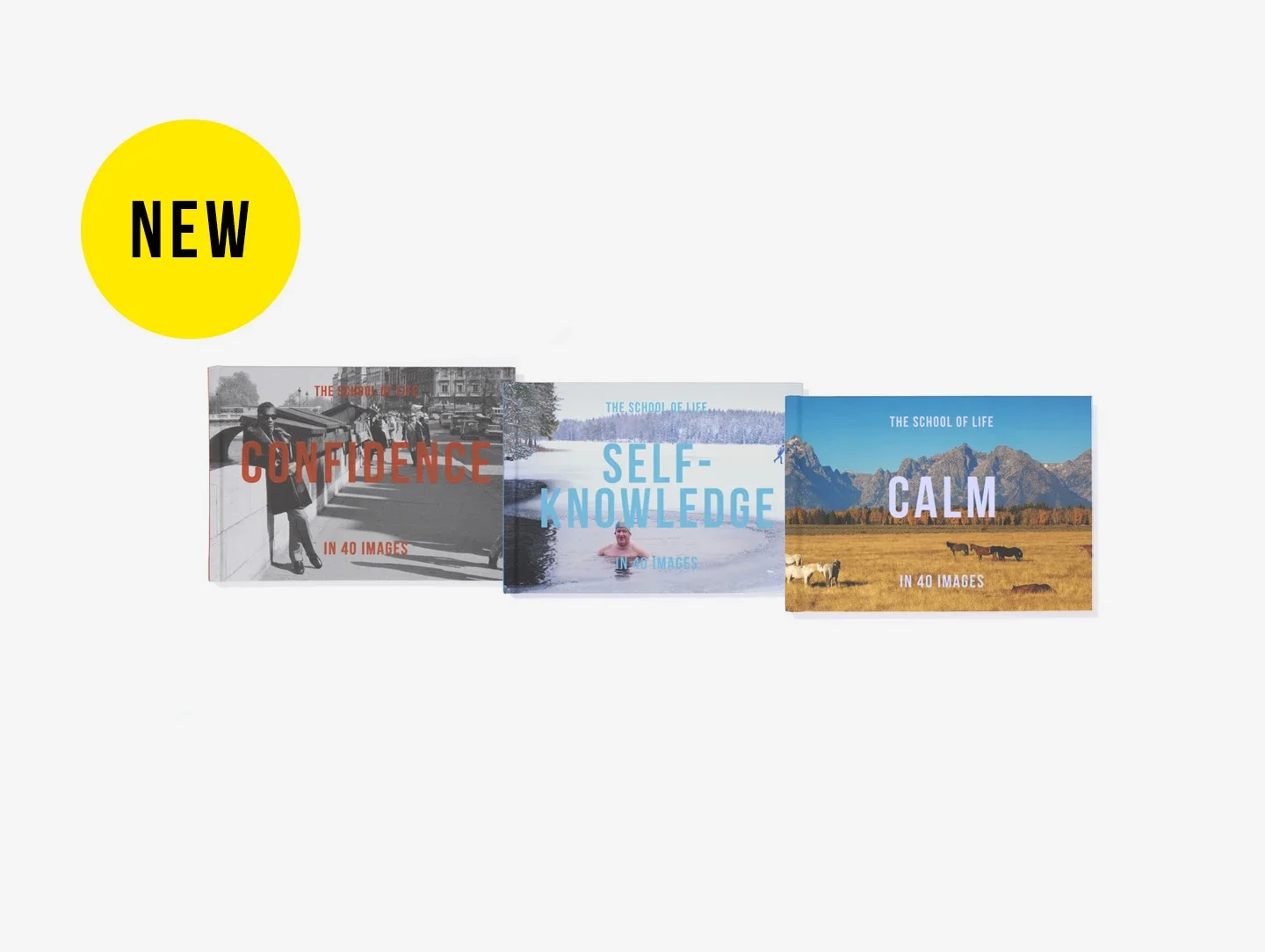 The Emotional Art Collection - The School of Life