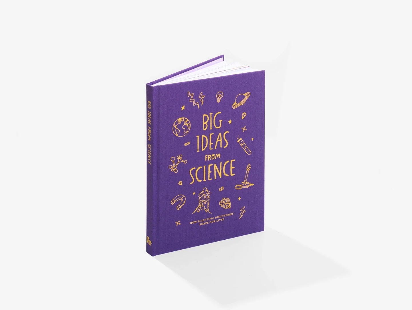 Big Ideas from Science book