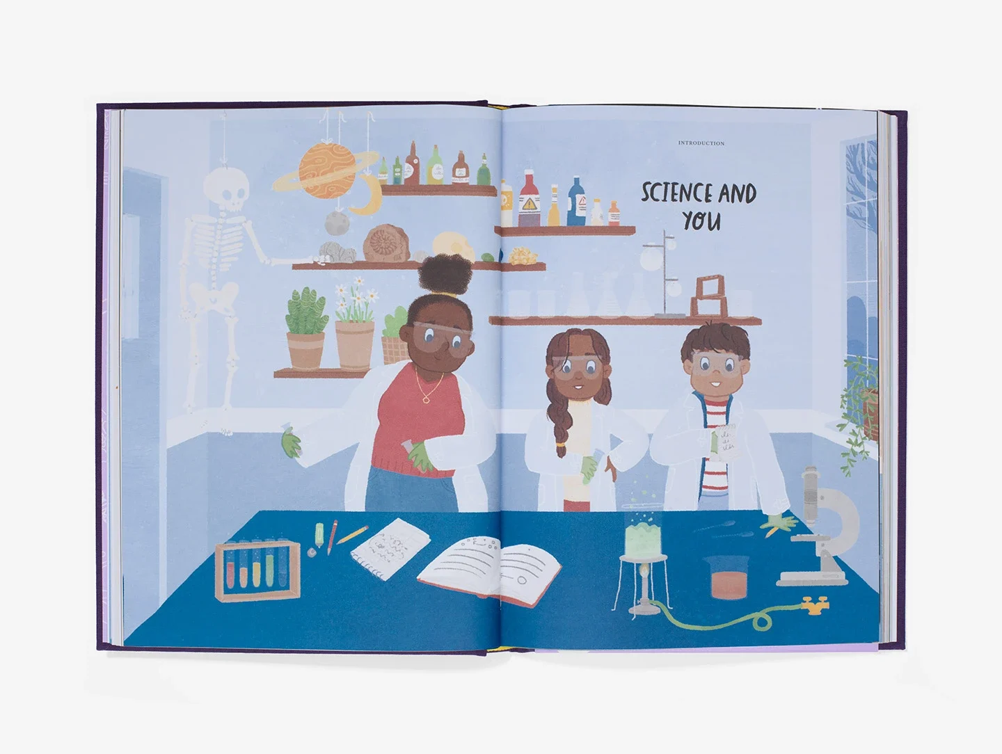 Big Ideas from Science book