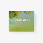 Everyday Wonder