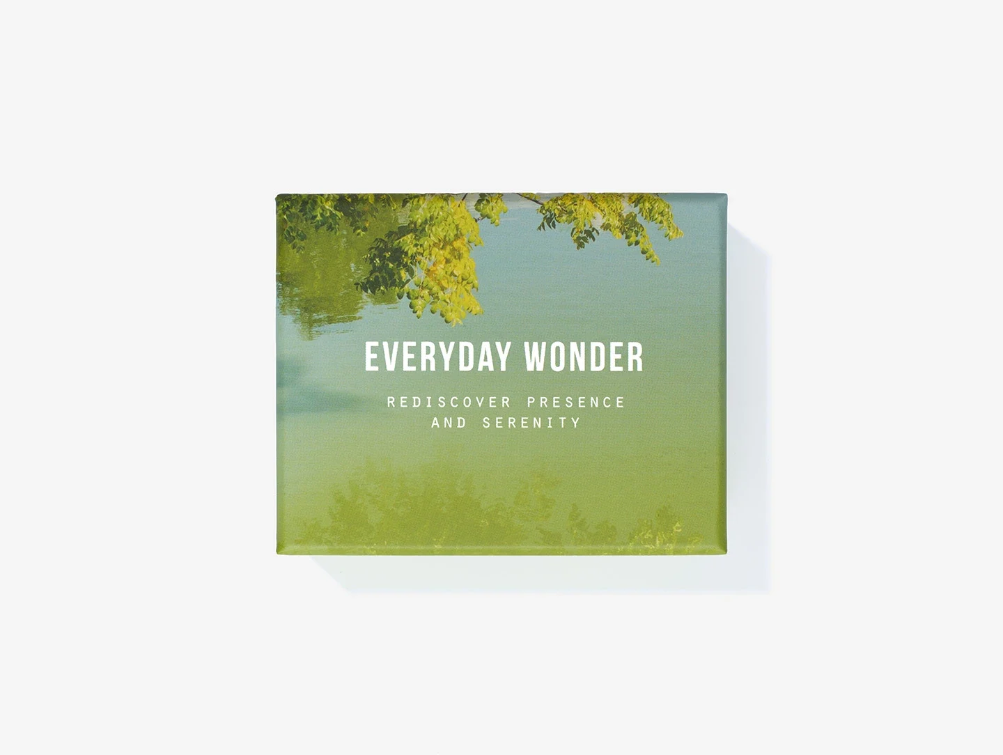 Everyday Wonder