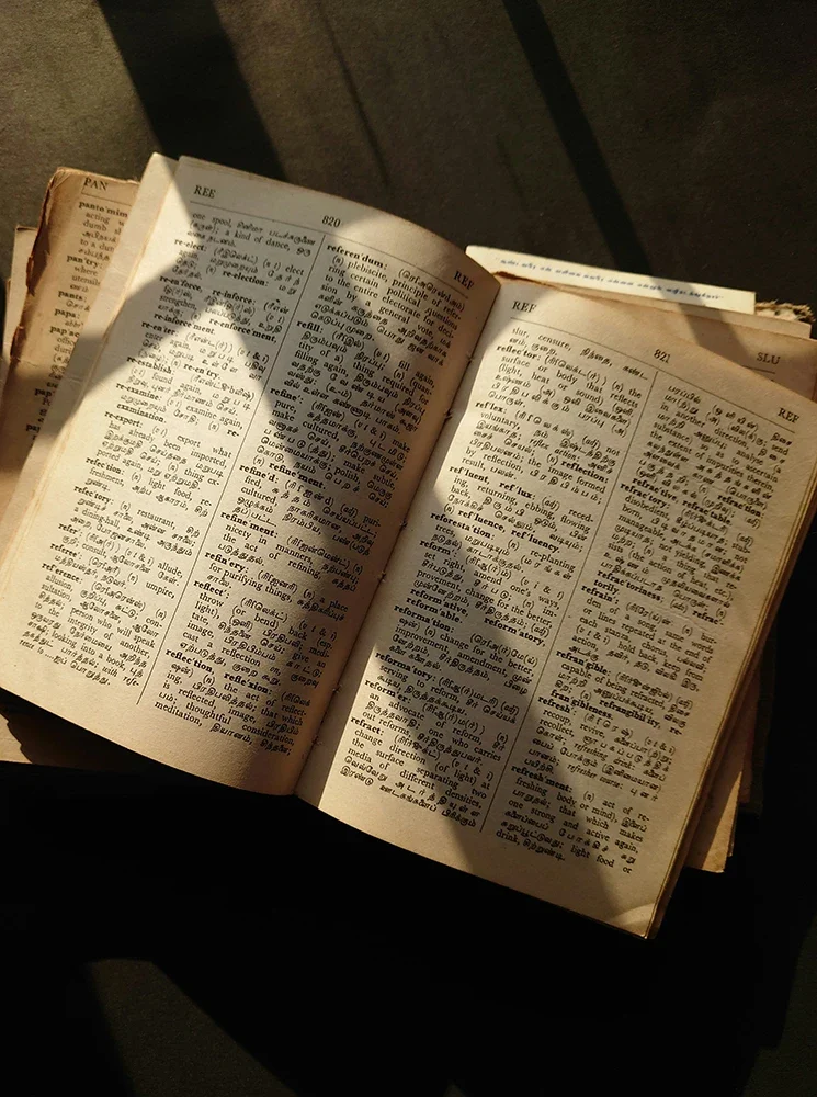 A Dictionary of Love image