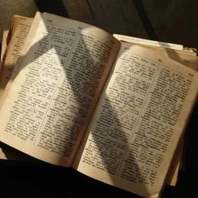 A Dictionary of Love