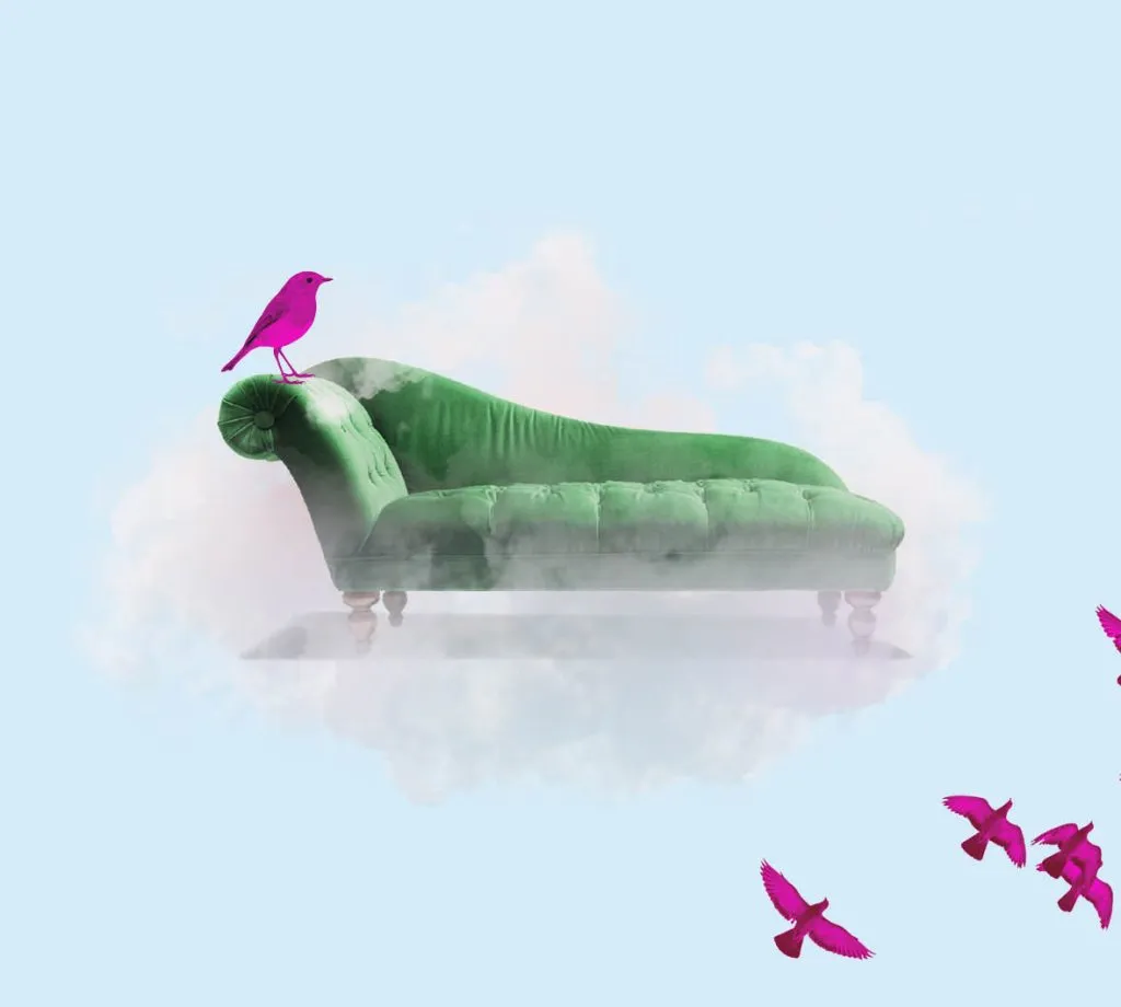 Psychologie in Vogelvlucht met Thijs Launspach image