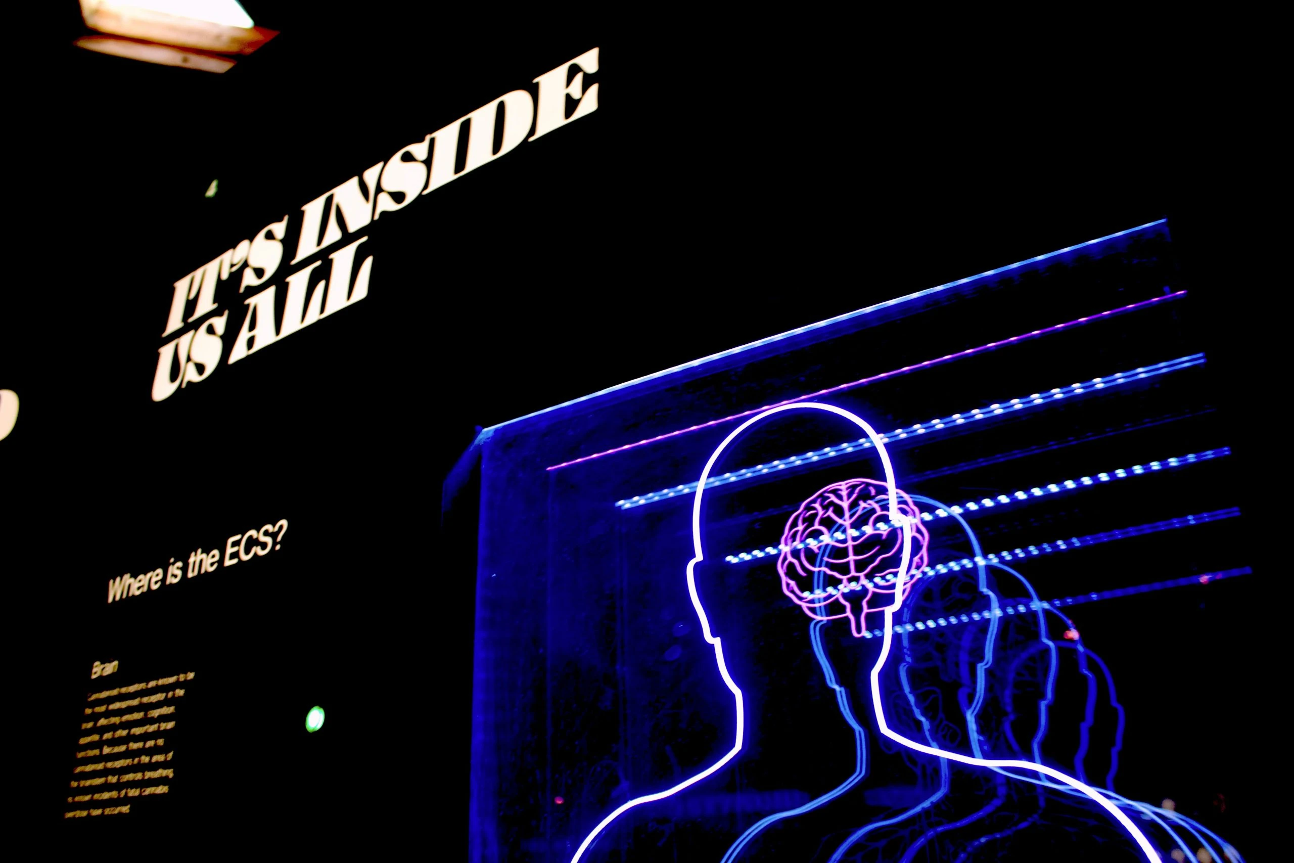 La psychologie appliquée au travail