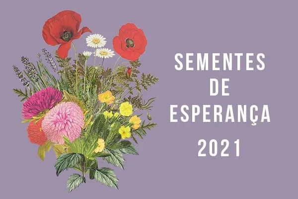 sementes esperanca 2